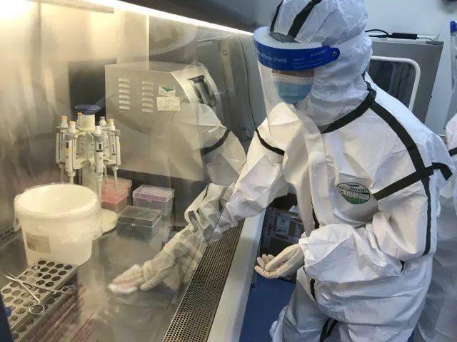 生物安全柜清洗消毒